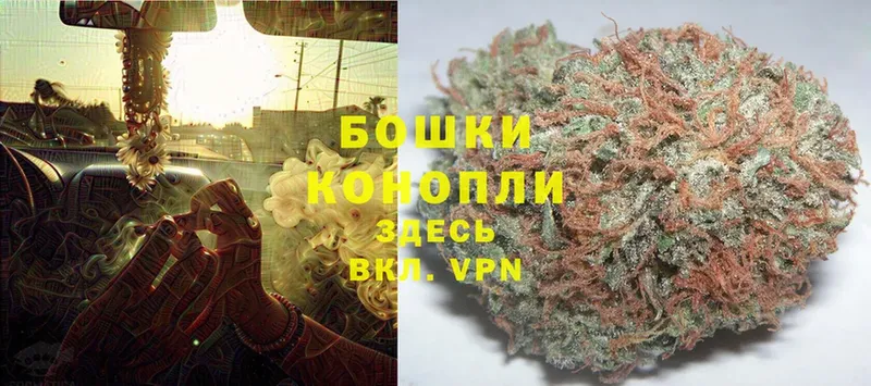 Конопля SATIVA & INDICA  цены наркотик  Верхний Уфалей 